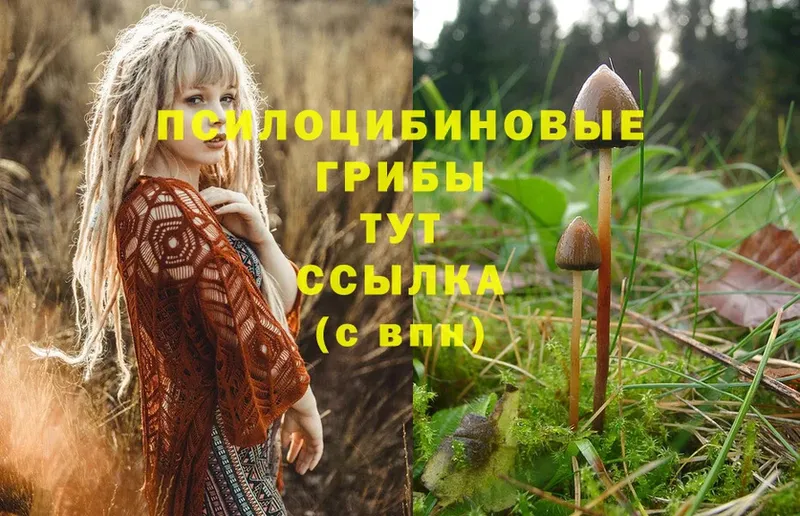 Галлюциногенные грибы Magic Shrooms  Электроугли 